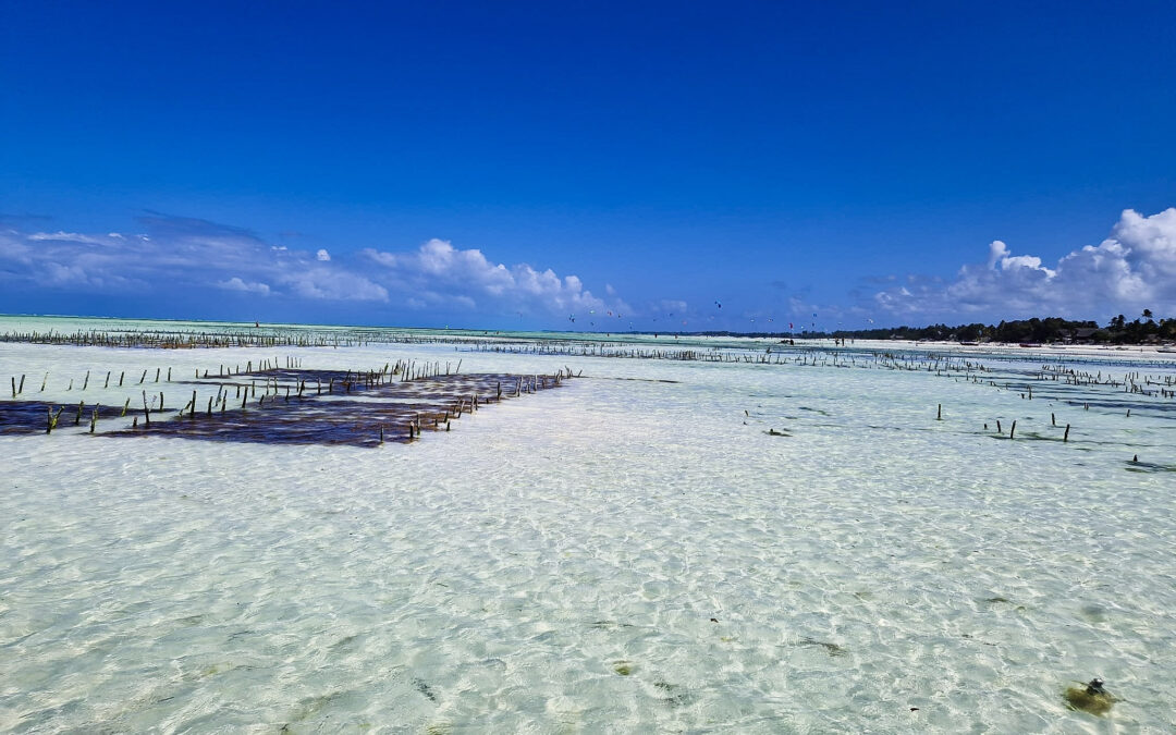 Cosa vedere a Zanzibar: guida completa ai luoghi imperdibili