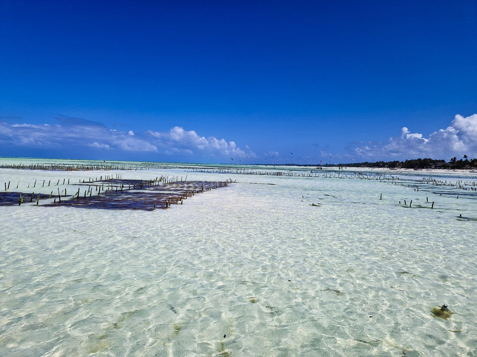 cosa vedere a Zanzibar