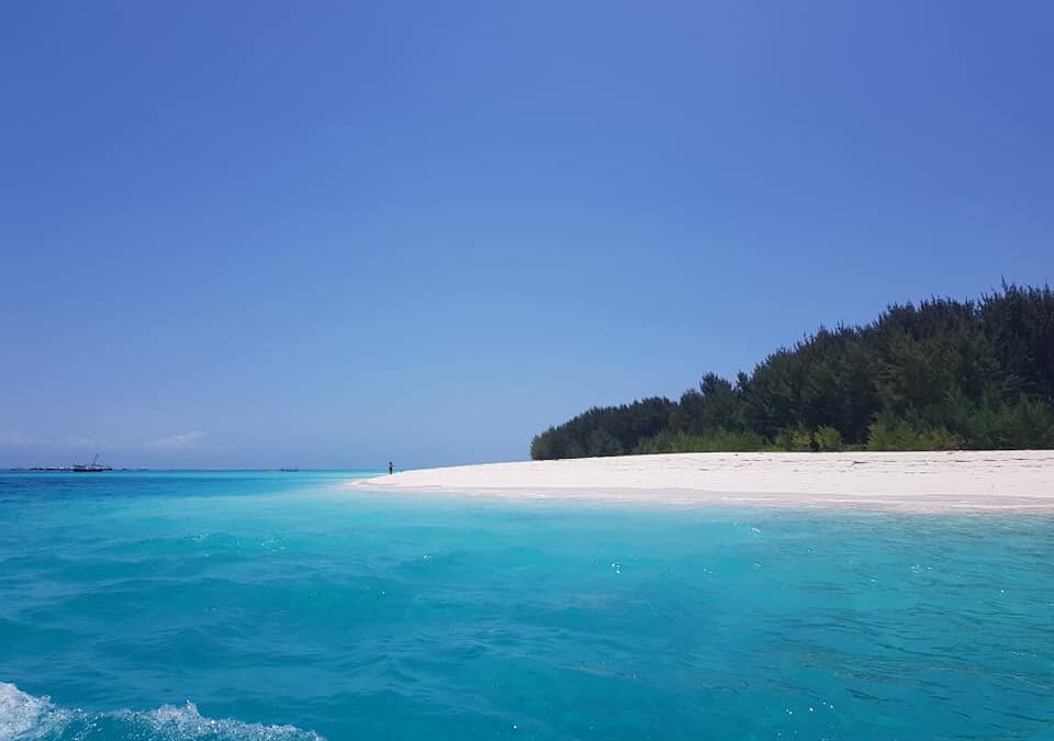 Quando andare a Zanzibar: clima e periodo migliore