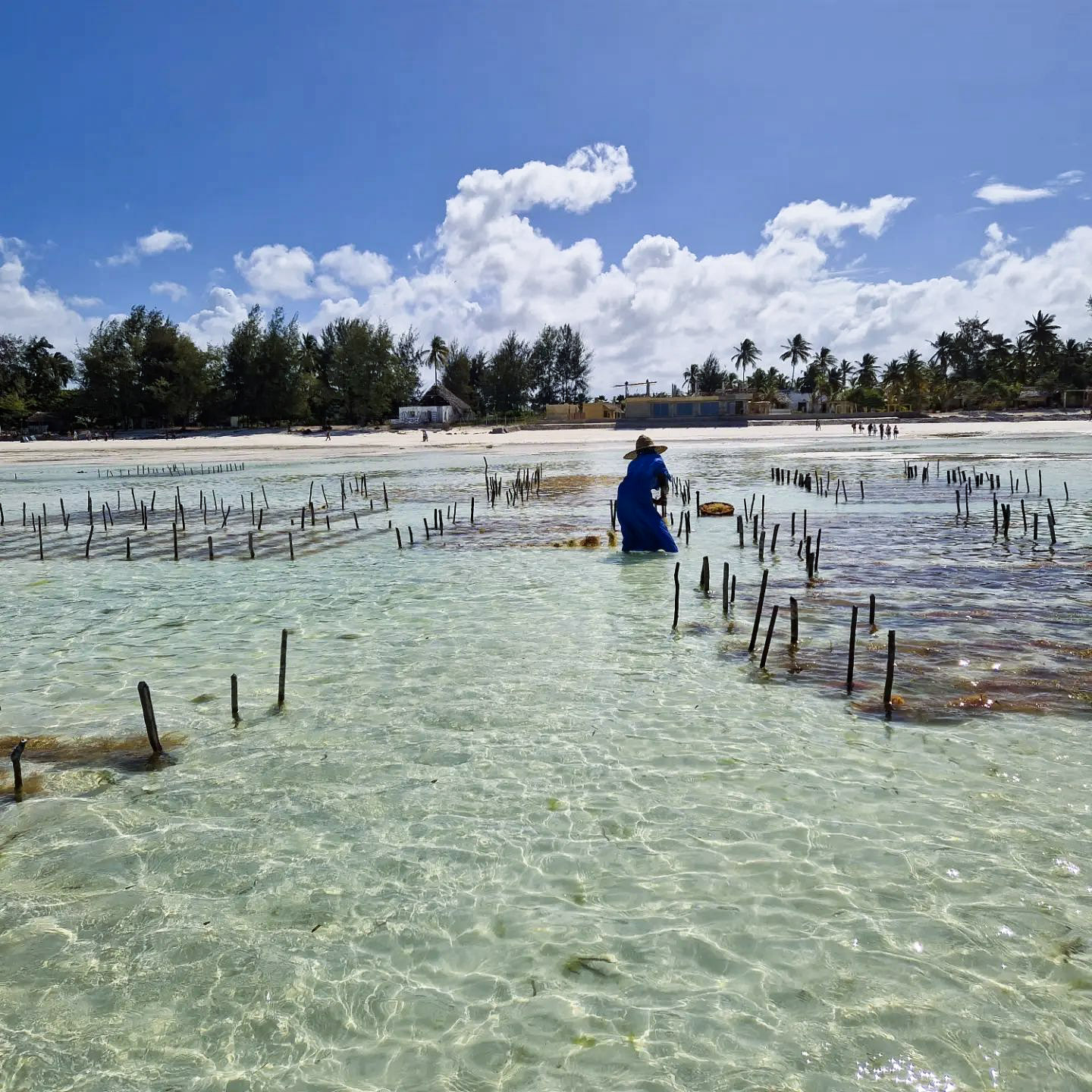 Dove alloggiare a Zanzibar