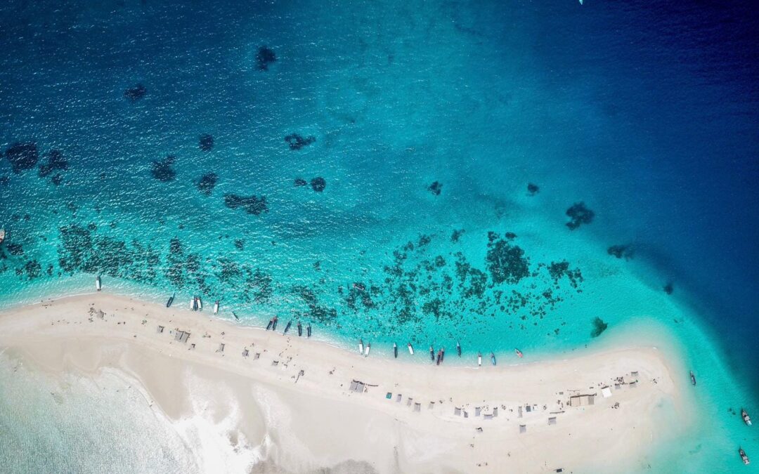 Migliori escursioni a Zanzibar: cosa fare e quali scegliere