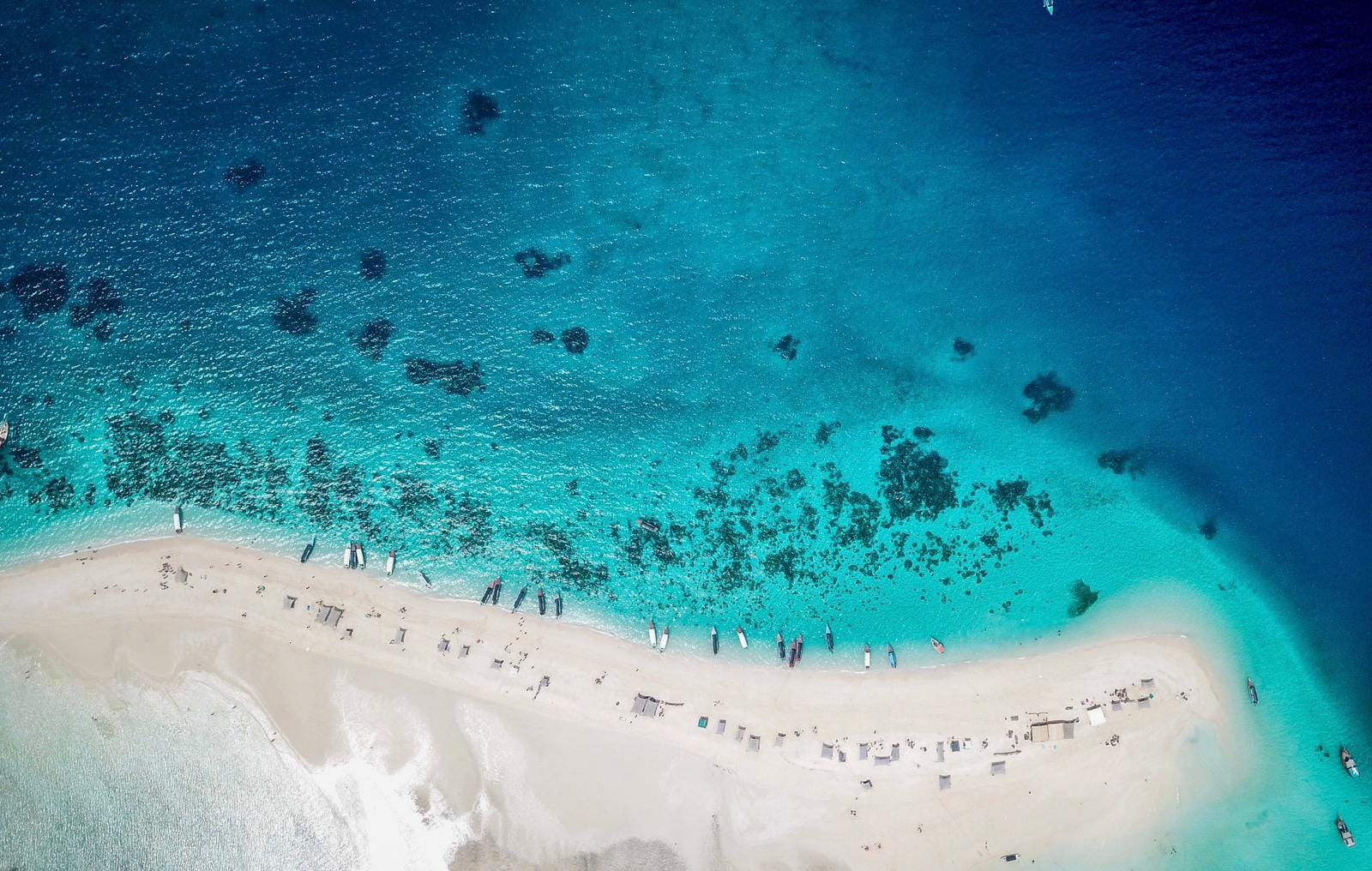 migliori escursioni da fare a Zanzibar