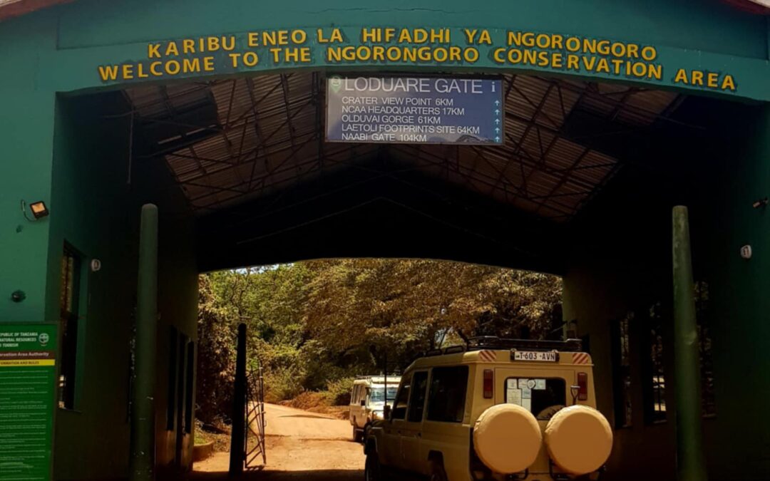 Parole swahili per un viaggio in Tanzania