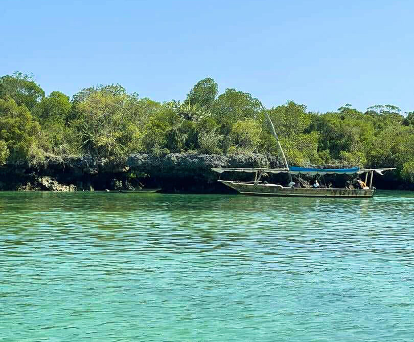 safari blu Nyange
