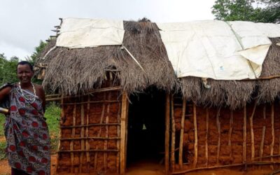 Cos’é il Mal d’Africa? La malattia da cui non puoi guarire