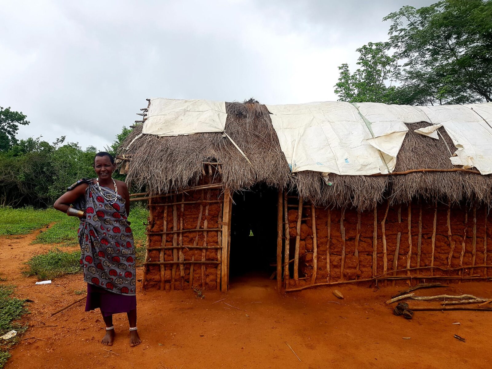 cos'è il mald'Africa