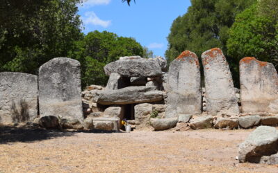 Guida turistica Olbia
