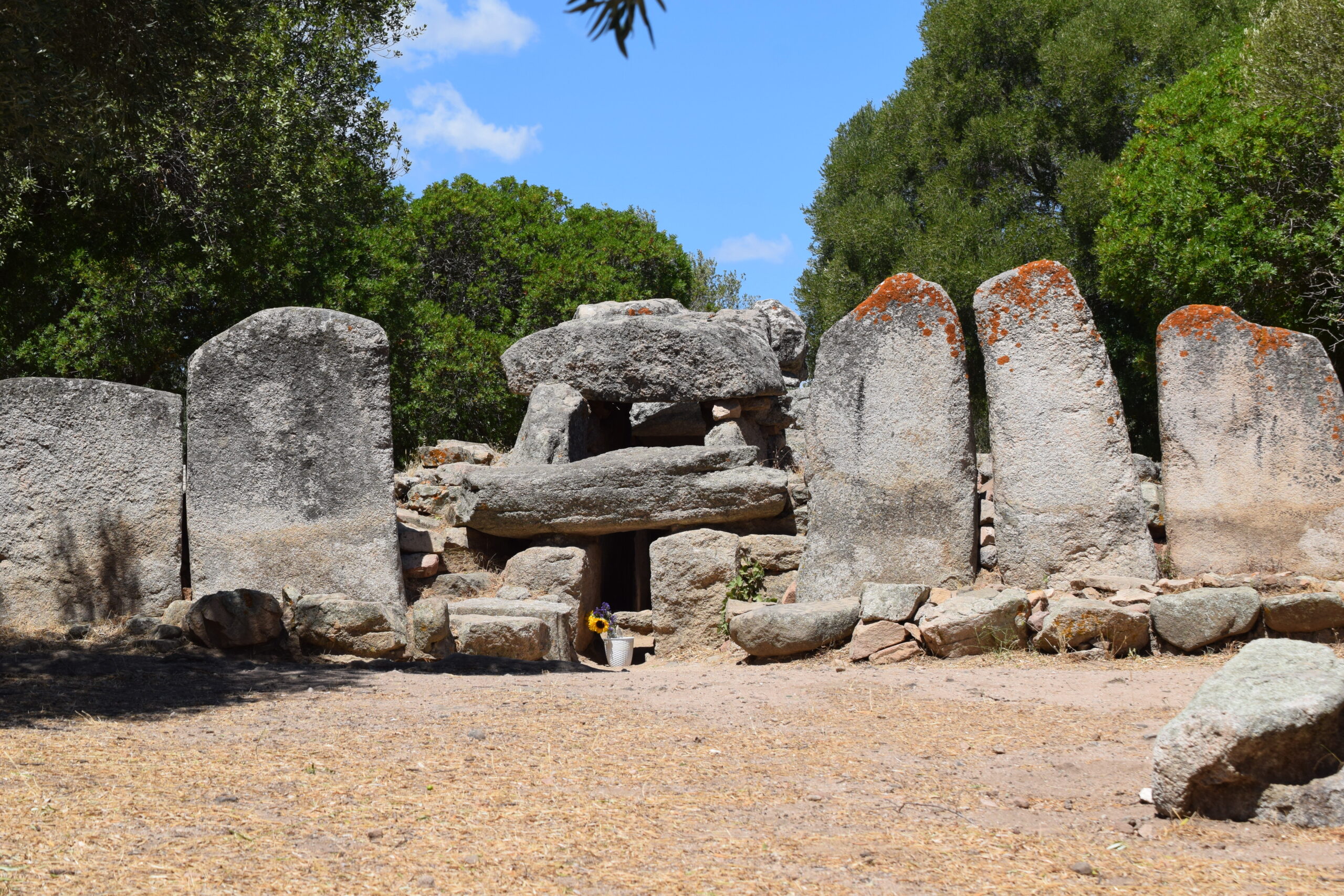 guida turistica Olbia