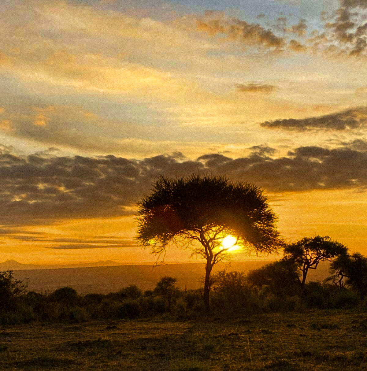 viaggio di gruppo in Tanzania safari e Zanzibar