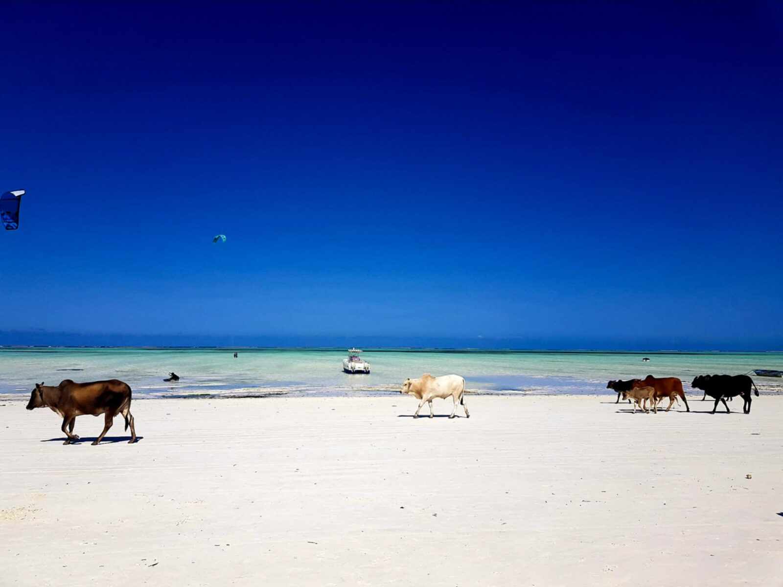 visto d'ingresso zanzibar