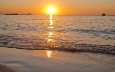 Zanzibar: dove si trova