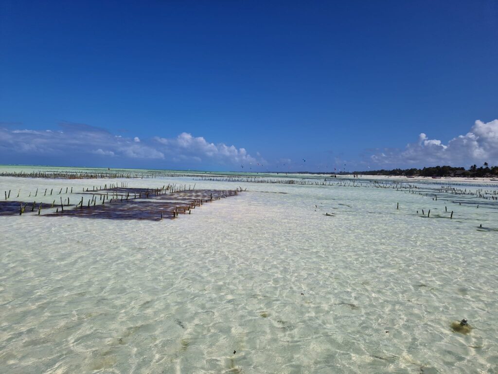 le spiagge più belle di Zanzibar