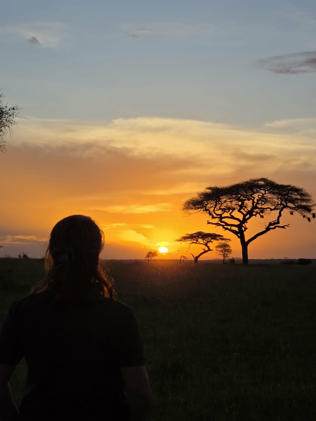 Safari e Zanzibar: vivi l’Africa autentica
