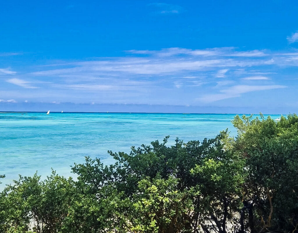 Cose da sapere prima di andare a Zanzibar