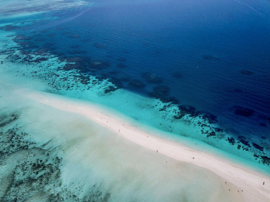 cosa vedere a Zanzibar