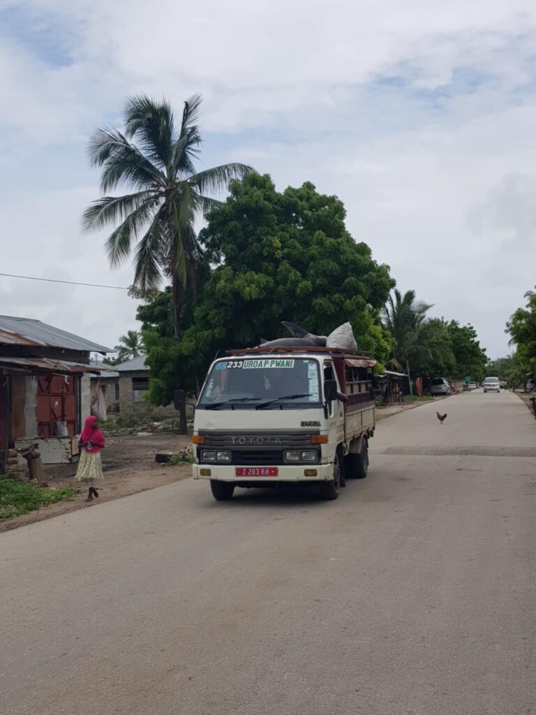 prima volta a Zanzibar