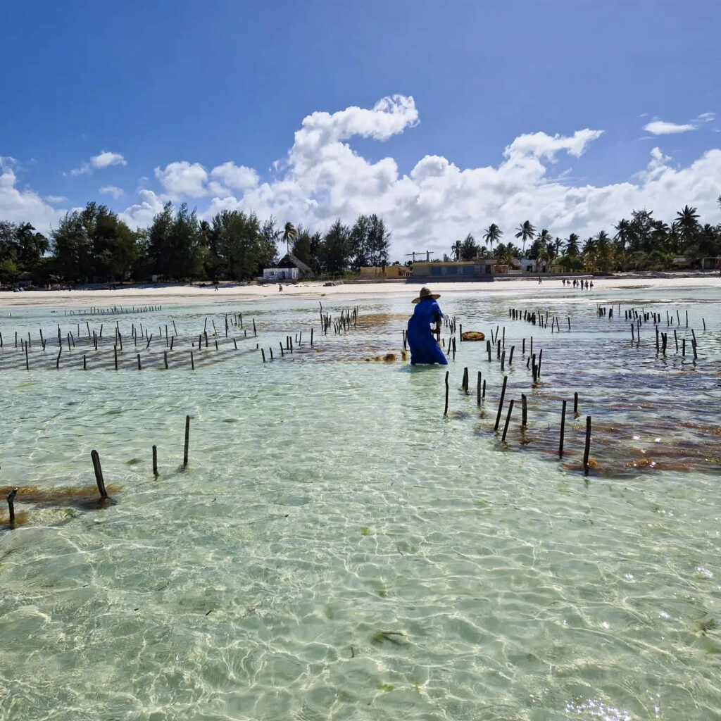 cosa vedere a Zanzibar