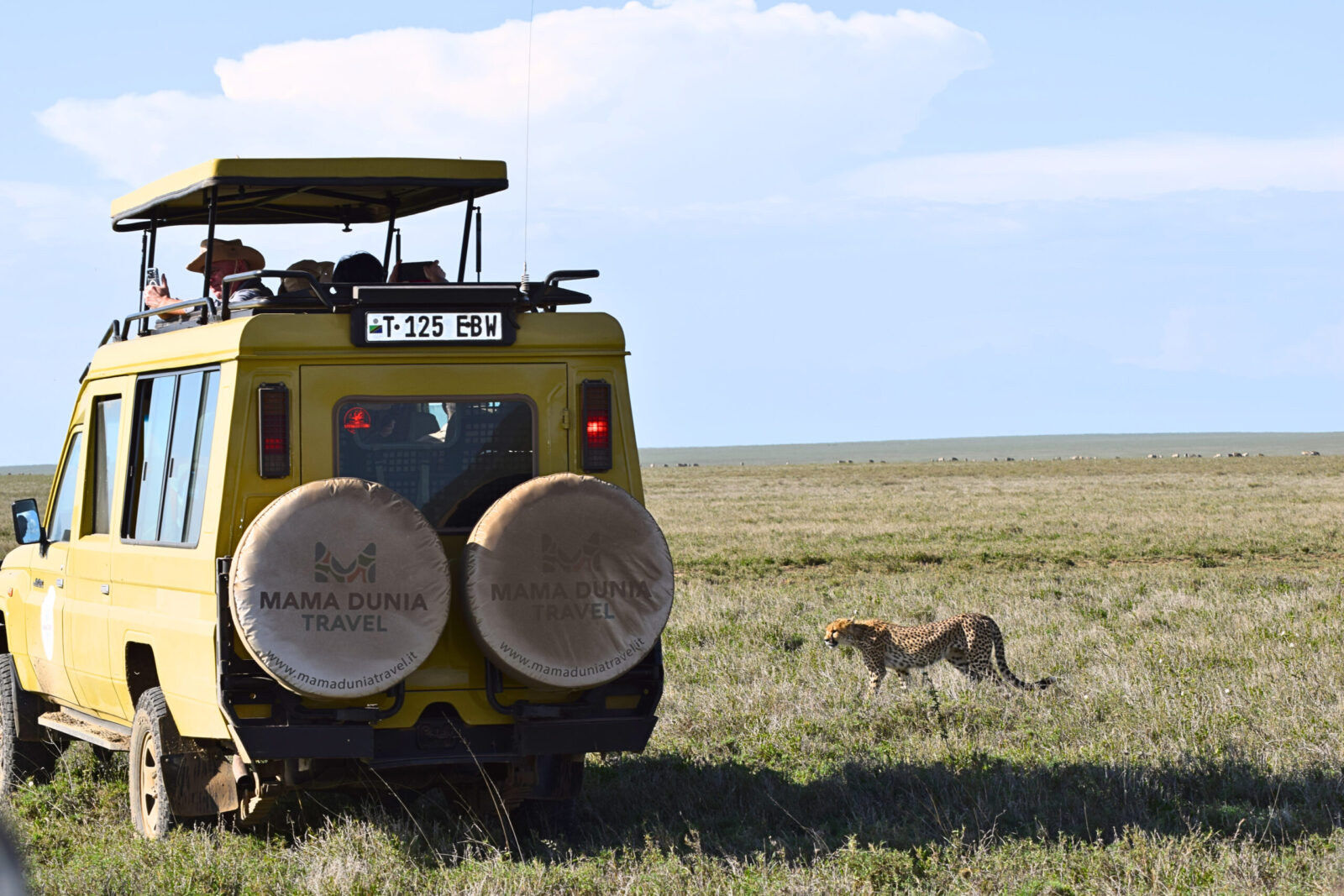 Gruppo di turisti durante un safari in Tanzania nel Serengeti