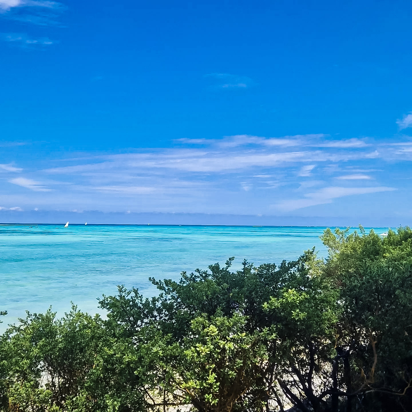 zanzibar quando andare