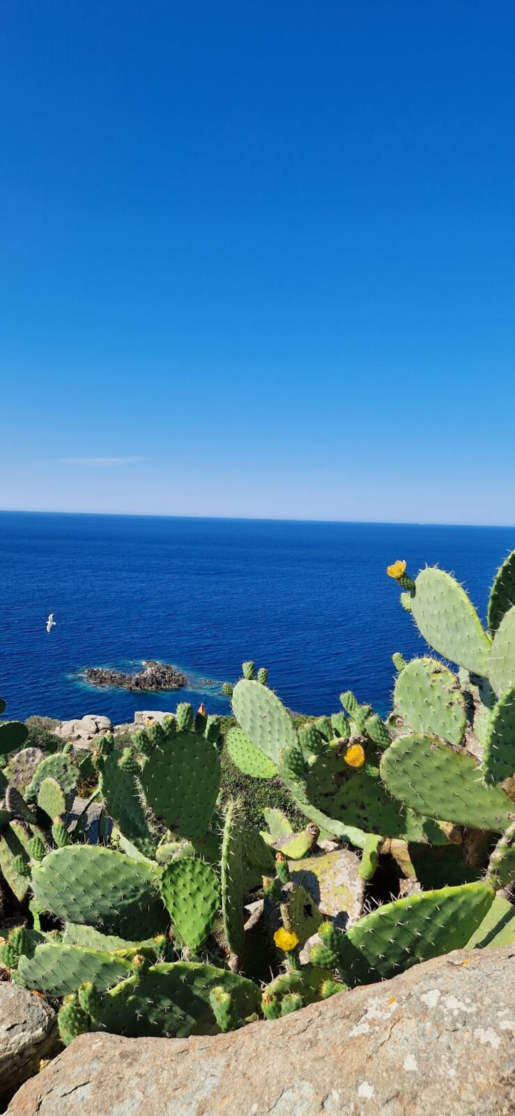 escursioni in sardegna del sud
