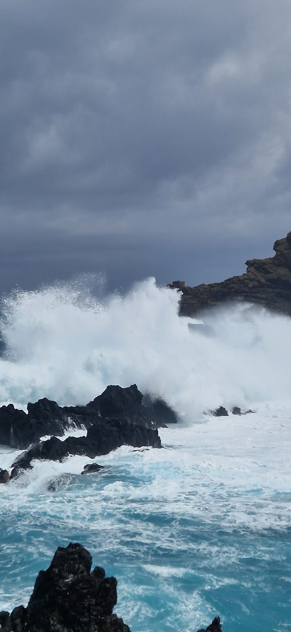 tour madeira portogallo