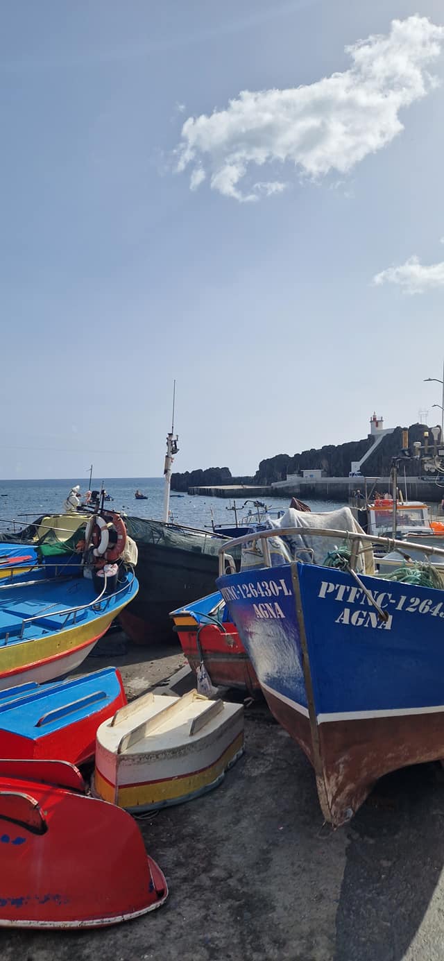 viaggio di gruppo a madeira l'isola dell'eterna primavera
