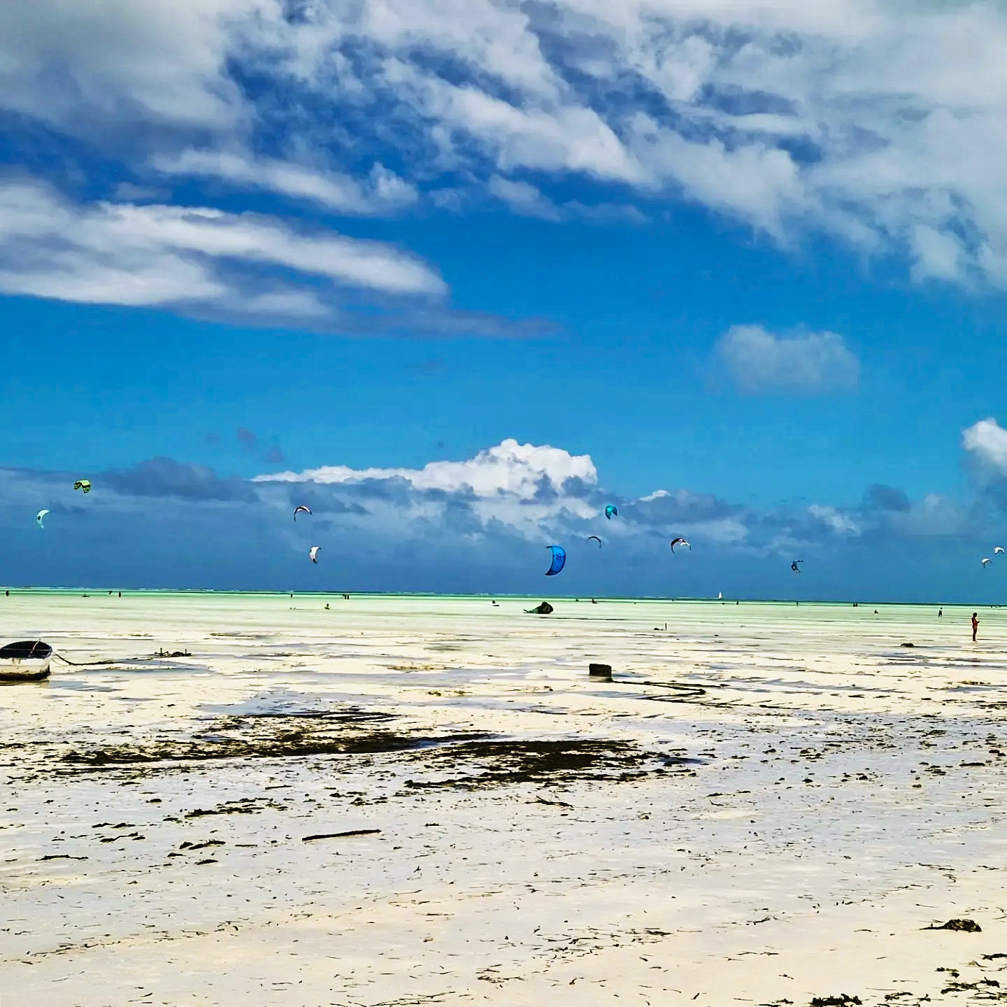 esperienza zanzibar safari tanzania