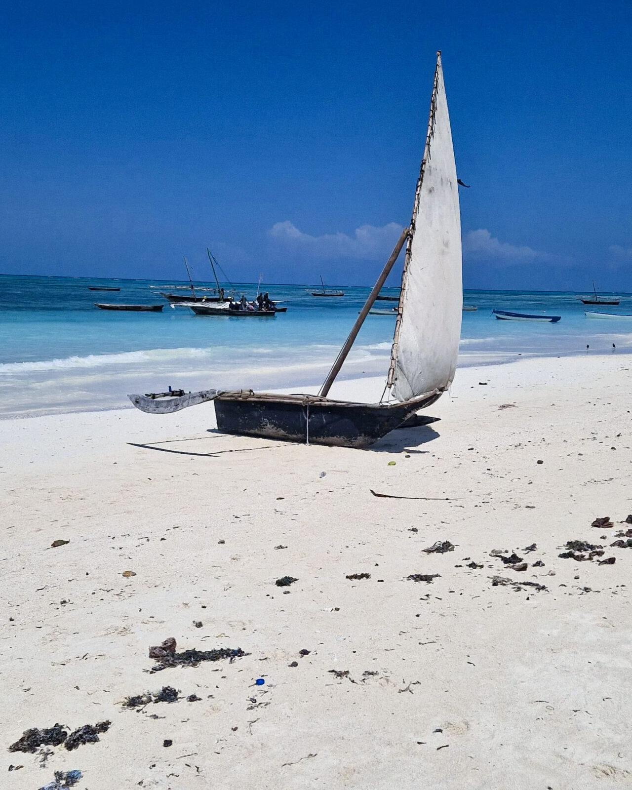viaggio zanzibar su misura